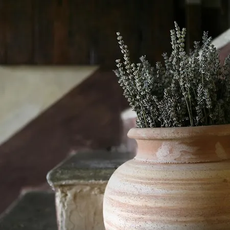 Tenuta Santi Giacomo E Filippo Landhaus