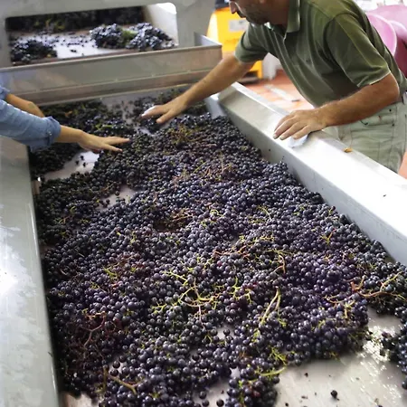 Tenuta Santi Giacomo E Filippo Casa di campagna