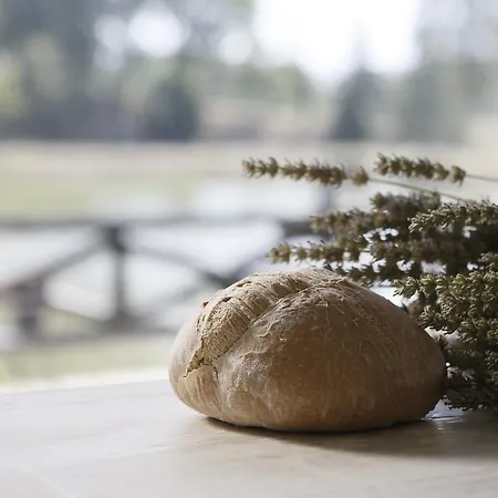 Tenuta Santi Giacomo E Filippo Casa di campagna *