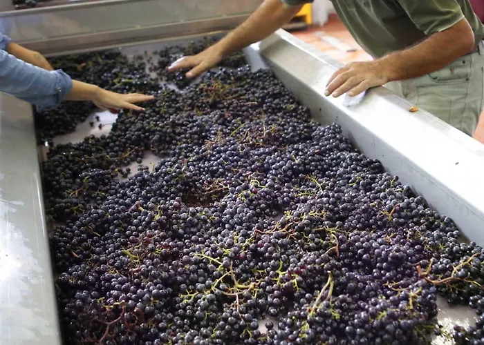 Tenuta Santi Giacomo E Filippo 컨트리하우스
